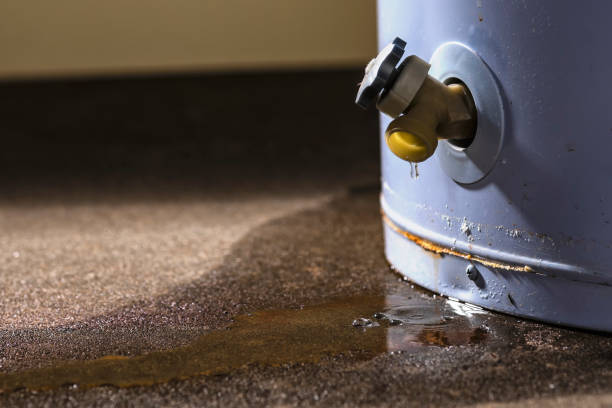 Water damage restoration mold remediation in Darnestown, MD