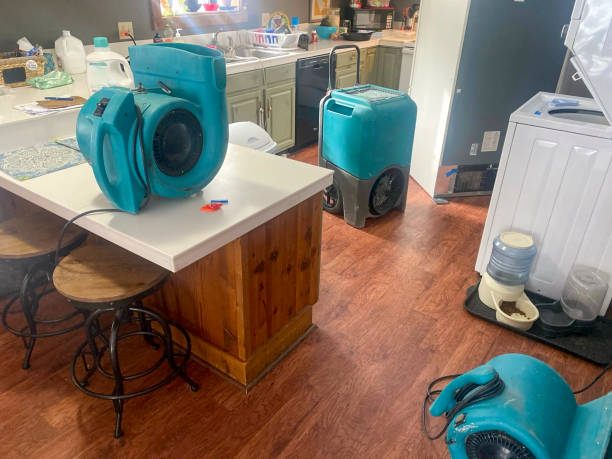 Best 24/7 water damage repair  in Darnestown, MD