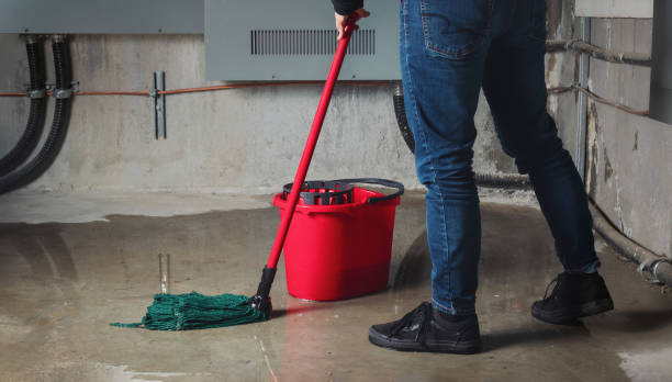 Water damage restoration mold remediation in Darnestown, MD