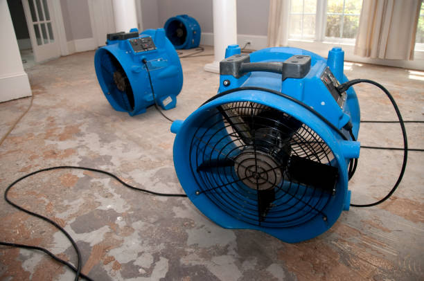 Best Basement water damage restoration  in Darnestown, MD