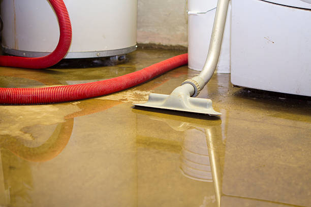 Best Fire Damage Restoration  in Darnestown, MD